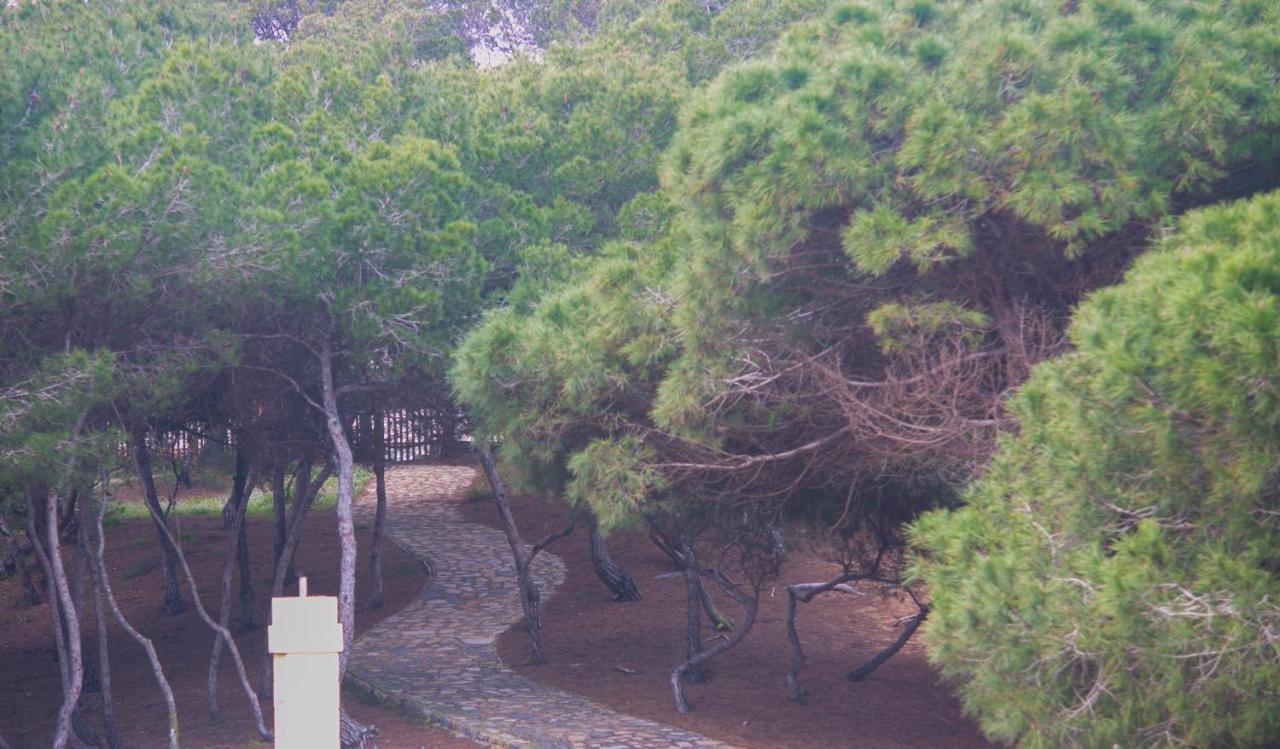 Hotel Parquemar Premium Beach 과다마르델세게라 외부 사진