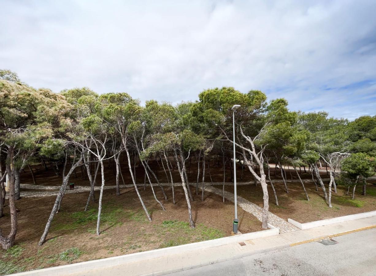 Hotel Parquemar Premium Beach 과다마르델세게라 외부 사진
